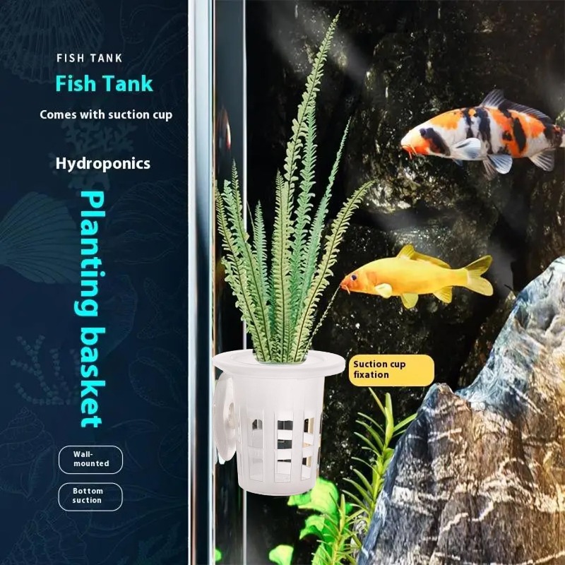 10/20/30個入りプラスチック製水槽用植栽カップ、吸盤付 - Planted Aquarium Freshwater のレビューと価格