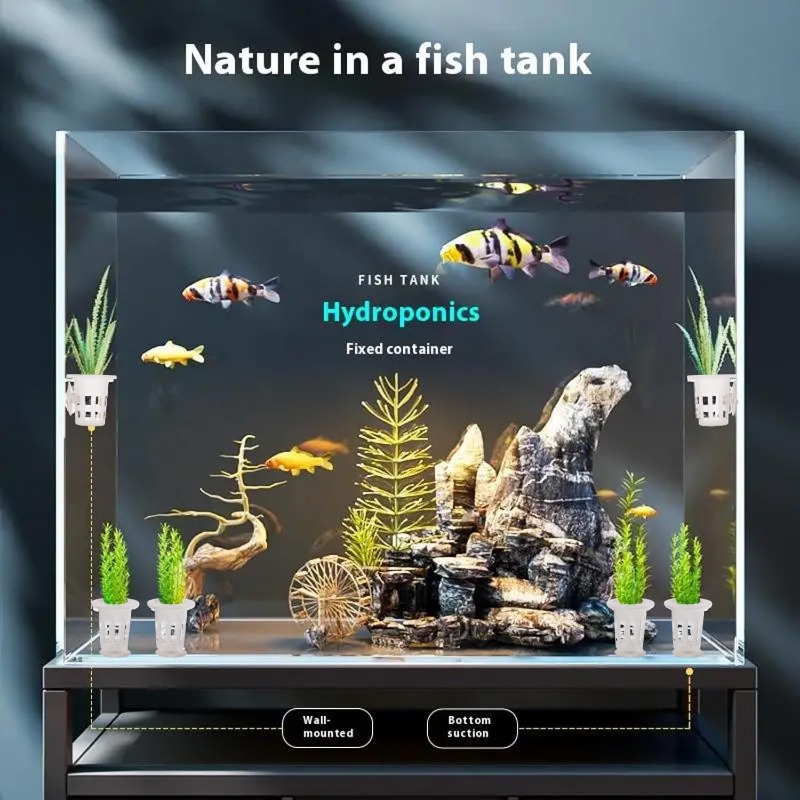 10/20/30個入りプラスチック製水槽用植栽カップ、吸盤付 - Planted Aquarium Freshwater のレビューと価格