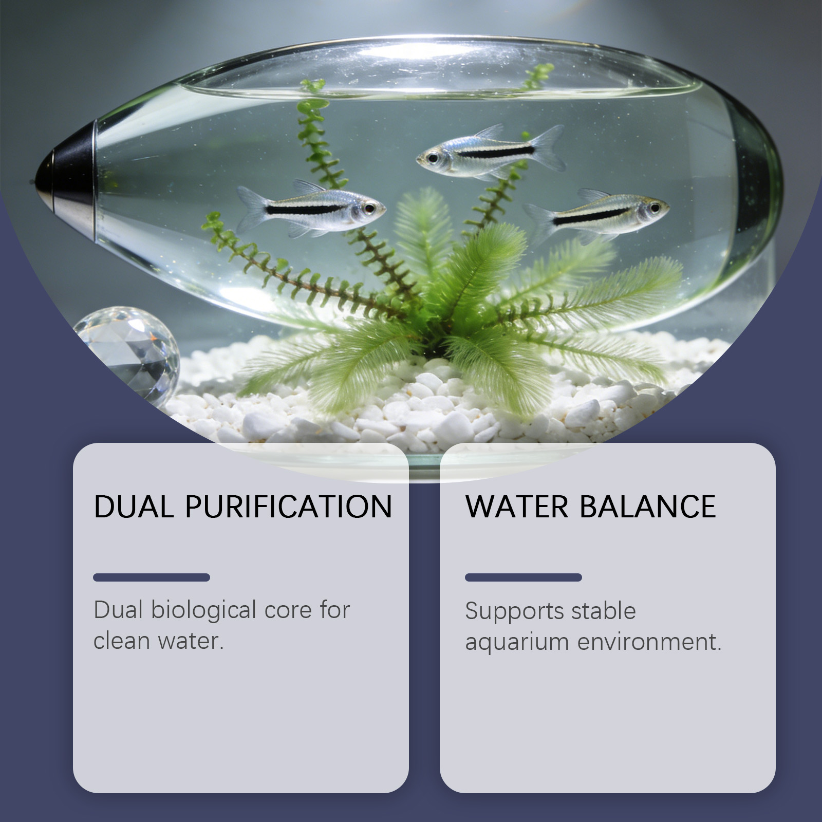 水槽用藻類除去タブレット、濁った緑色の水をすばやく浄化、藻類 - Planted Aquarium Algae Remover のレビューと価格