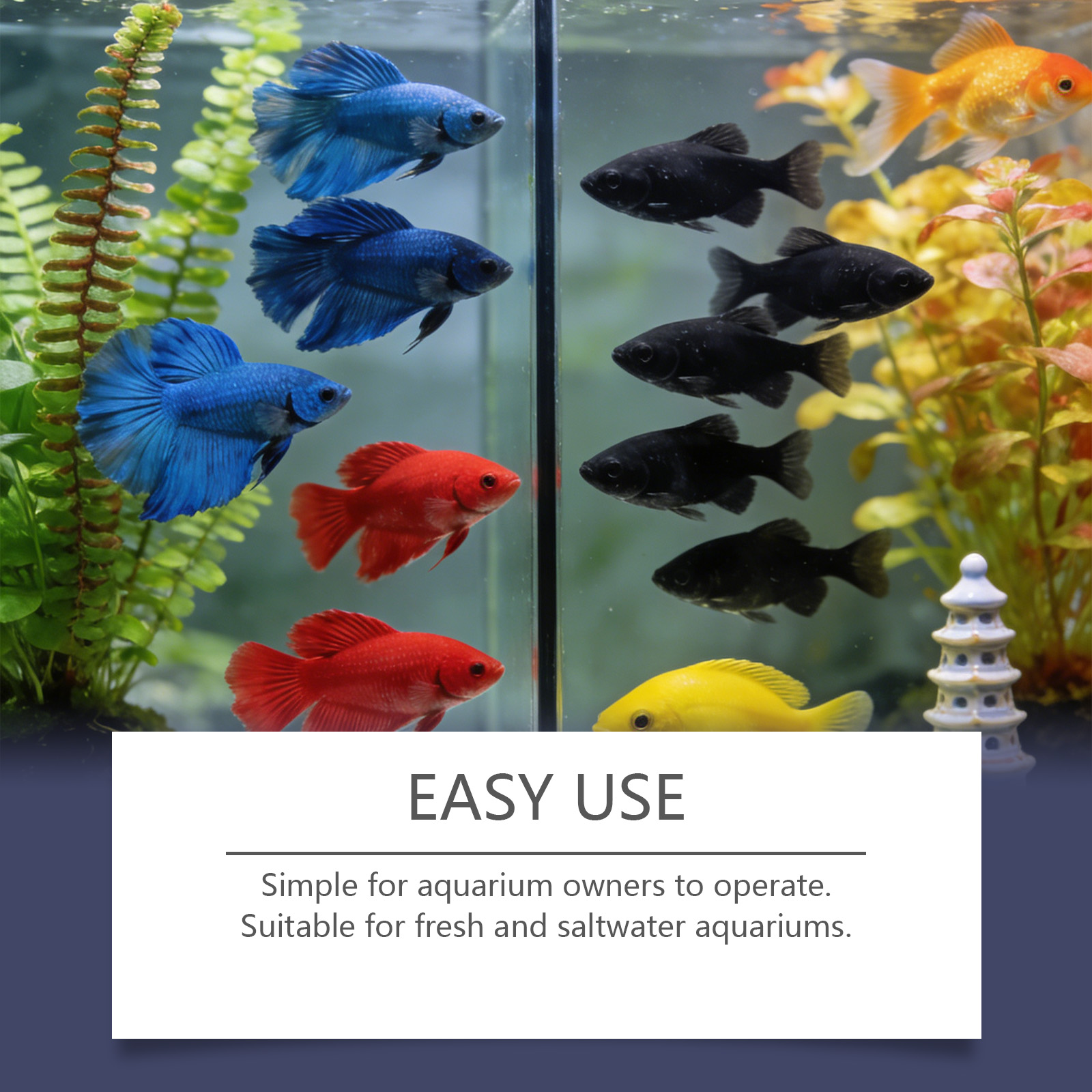 水槽用藻類除去タブレット、濁った緑色の水をすばやく浄化、藻類 - Planted Aquarium Algae Remover のレビューと価格