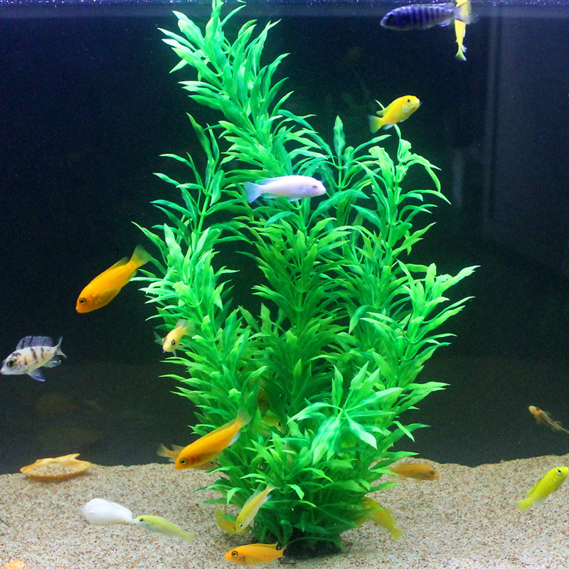 人工水槽50cm,珍しい植物,水族館,偽の竹の葉,水草,プラ - Aquarium Plant Nursery のレビューと価格