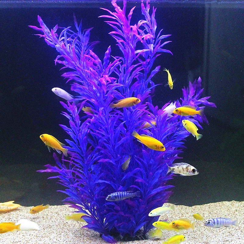 人工水槽50cm,珍しい植物,水族館,偽の竹の葉,水草,プラ - Aquarium Plant Nursery のレビューと価格