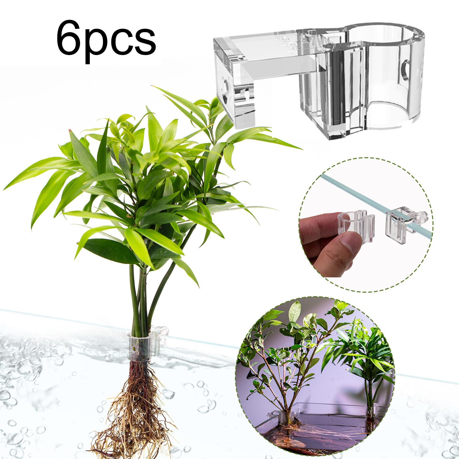 耐久性のある透明な水槽壁掛け植物ホルダー、水生植物用PCカッ - Aquarium Planted Wall のレビューと価格