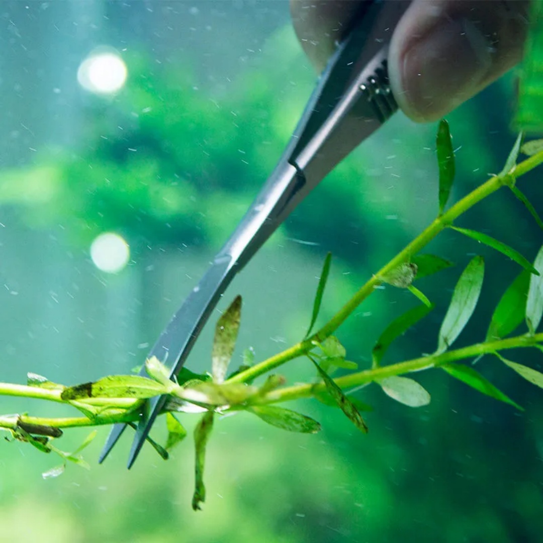 湾曲したストレートスプリングはさみ水族館 Aquascapi - Planted Aquarium Maintenance Kit のレビューと価格