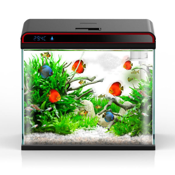 サンサン 4-in-1 水槽ウォーターコンディショナー -  - Planted Aquarium Algae Remover のレビューと価格