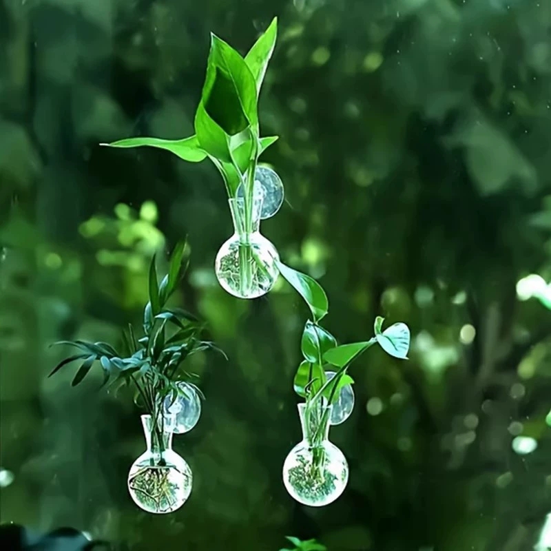 創造的な半円形の壁掛け花瓶、フラワープレート、植物水耕栽培水 - Aquarium Planted Wall のレビューと価格