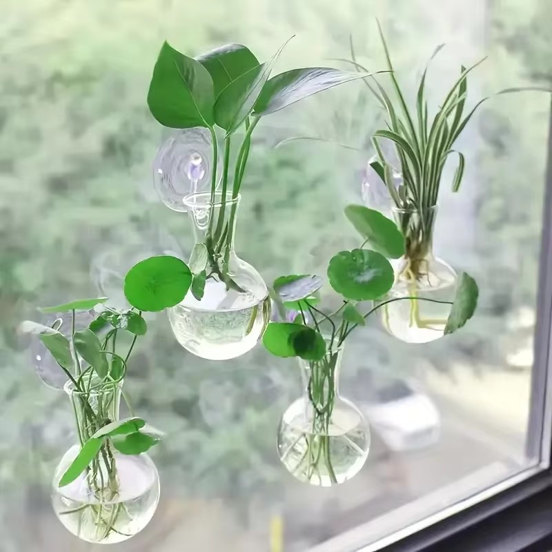 創造的な半円形の壁掛け花瓶、フラワープレート、植物水耕栽培水 - Aquarium Planted Wall のレビューと価格