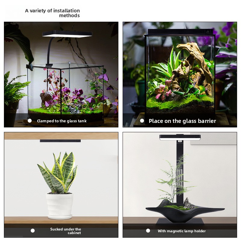 Week Aqua Mini9Pro マグネット式クランプL - Planted Aquarium Jar のレビューと価格